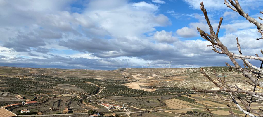 Qualis Oliva