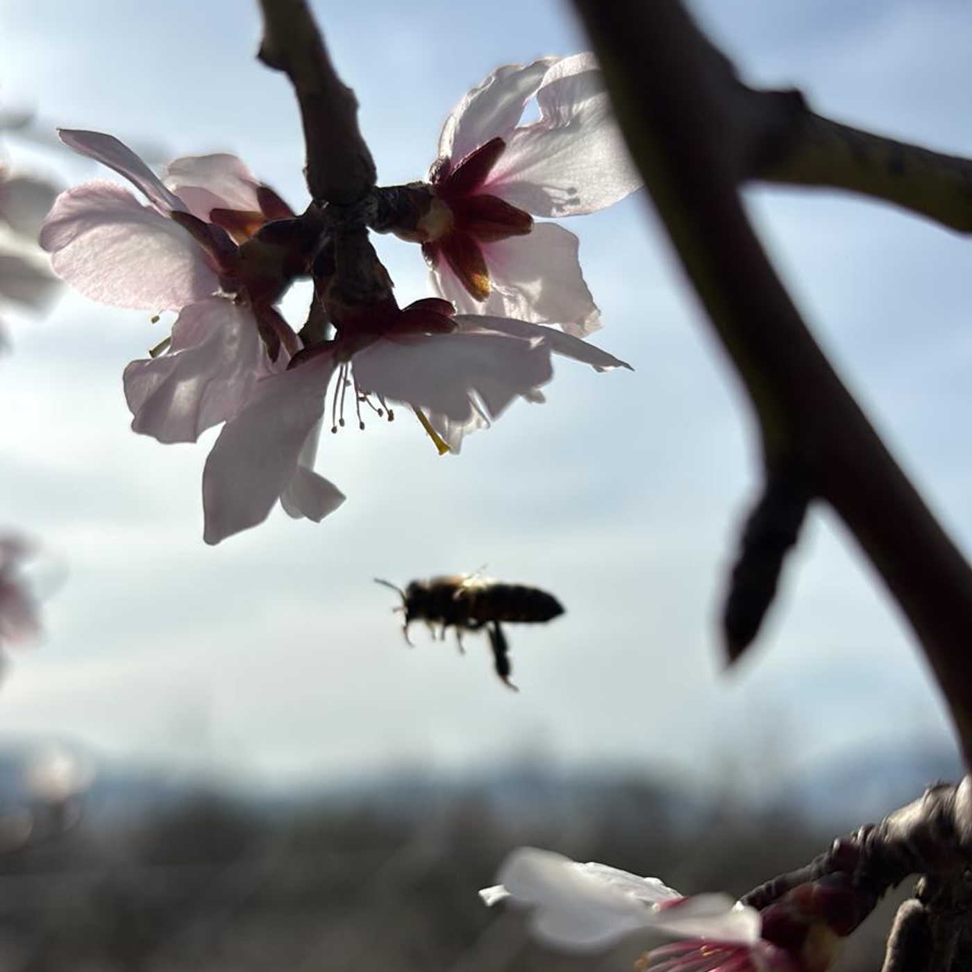 nueva-galeria-hojiblanca-001