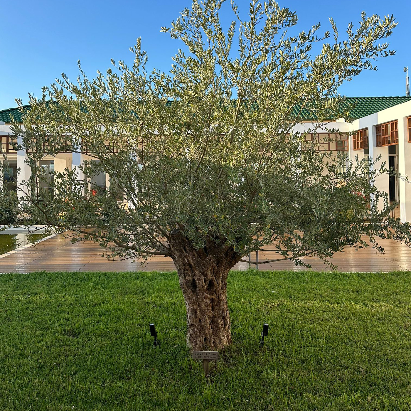 nueva-galeria-hojiblanca-005